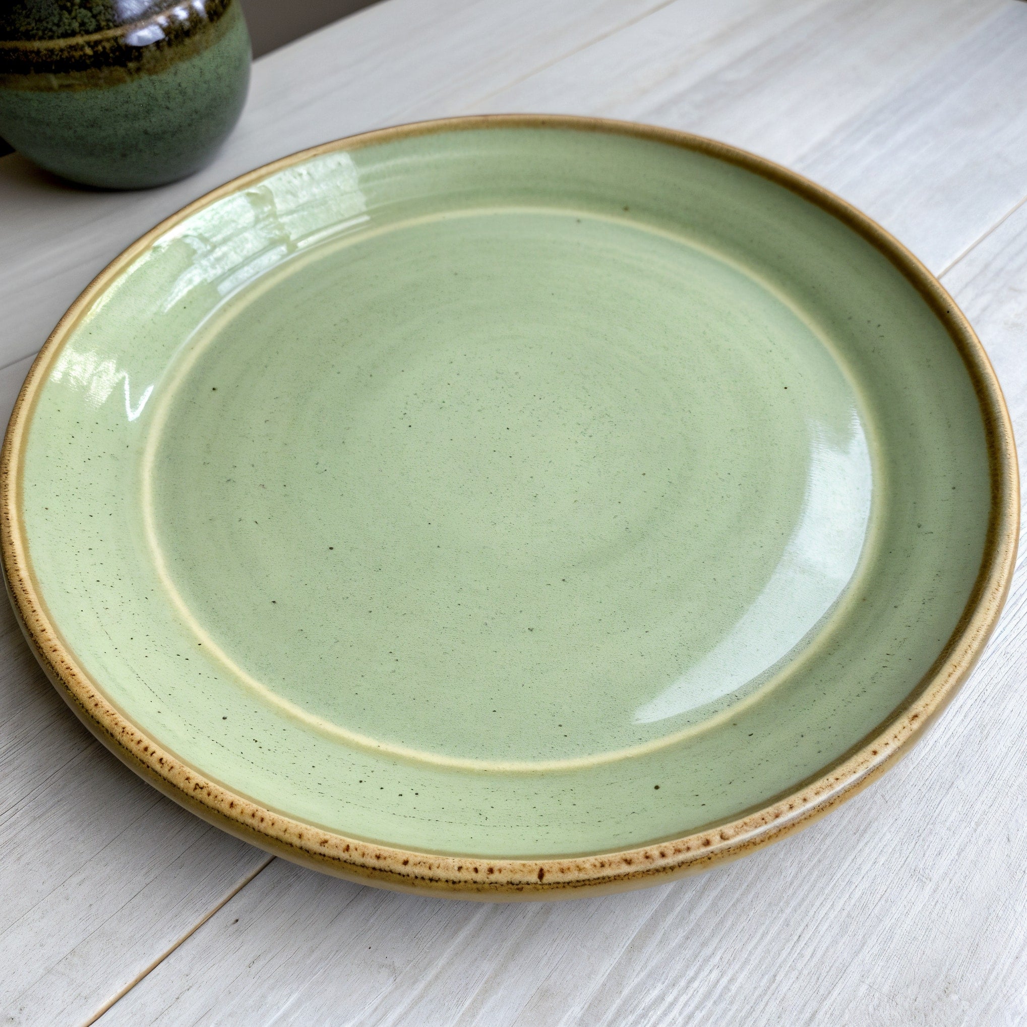 Remoxila Pistachio Green Plate — hero front view showing full plate with matte finish