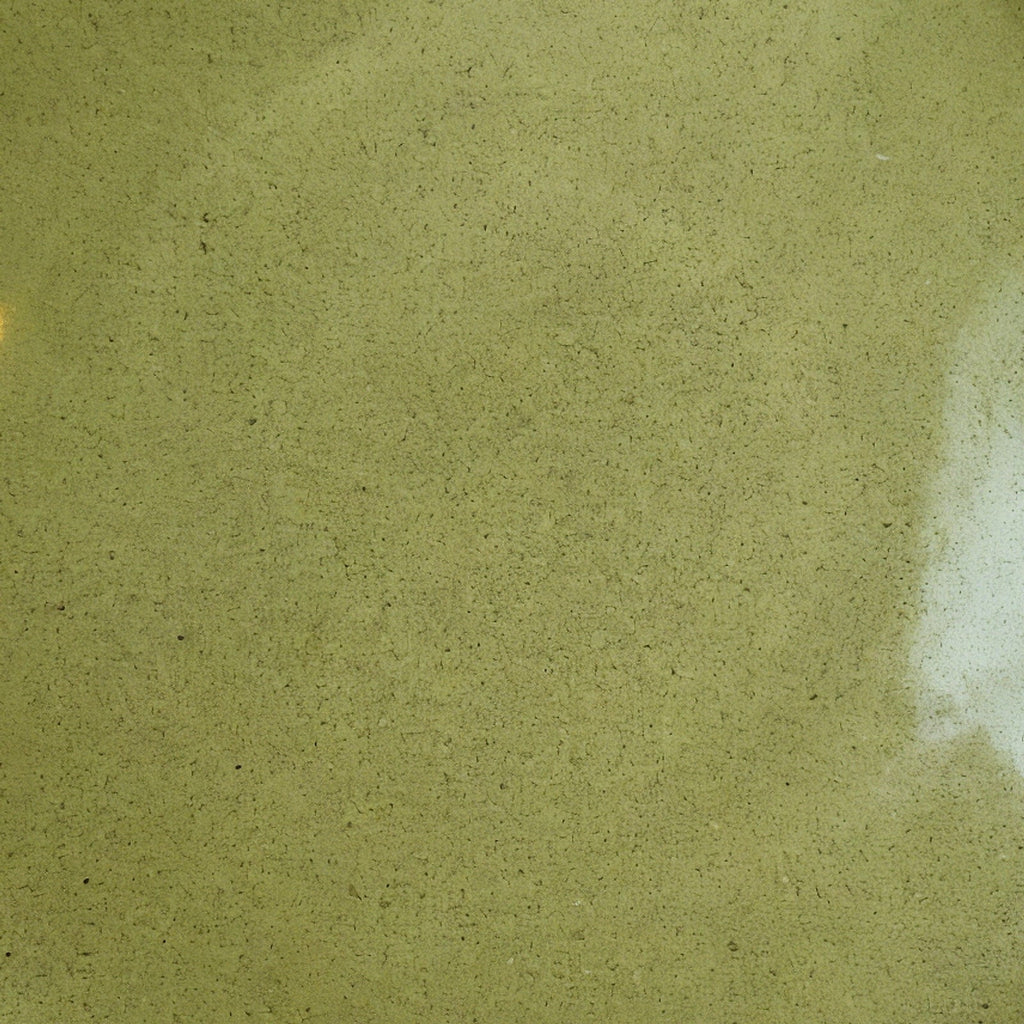 Remoxila Olive Green Plate — macro view of the glaze surface texture