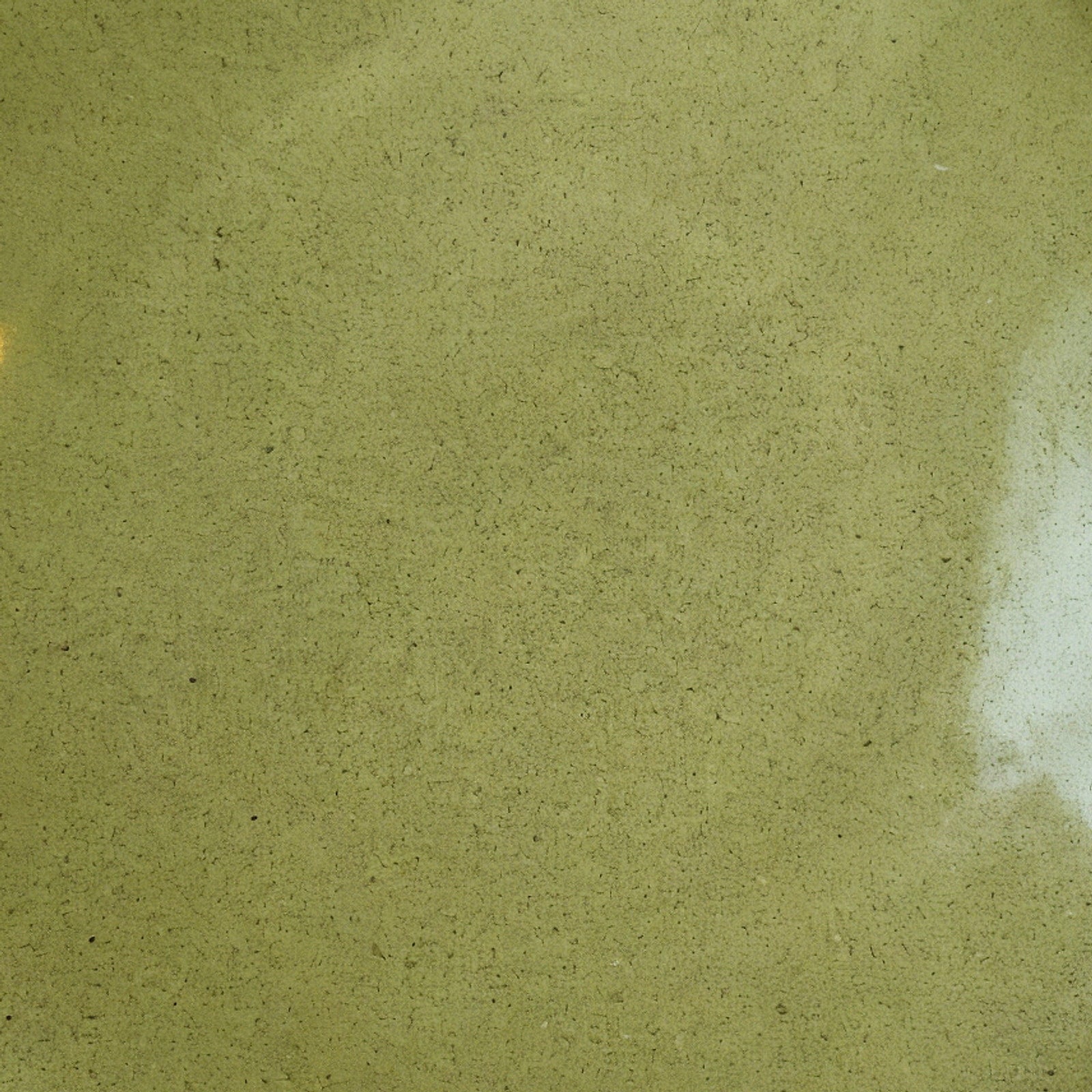 Remoxila Olive Green Plate — macro view of the glaze surface texture