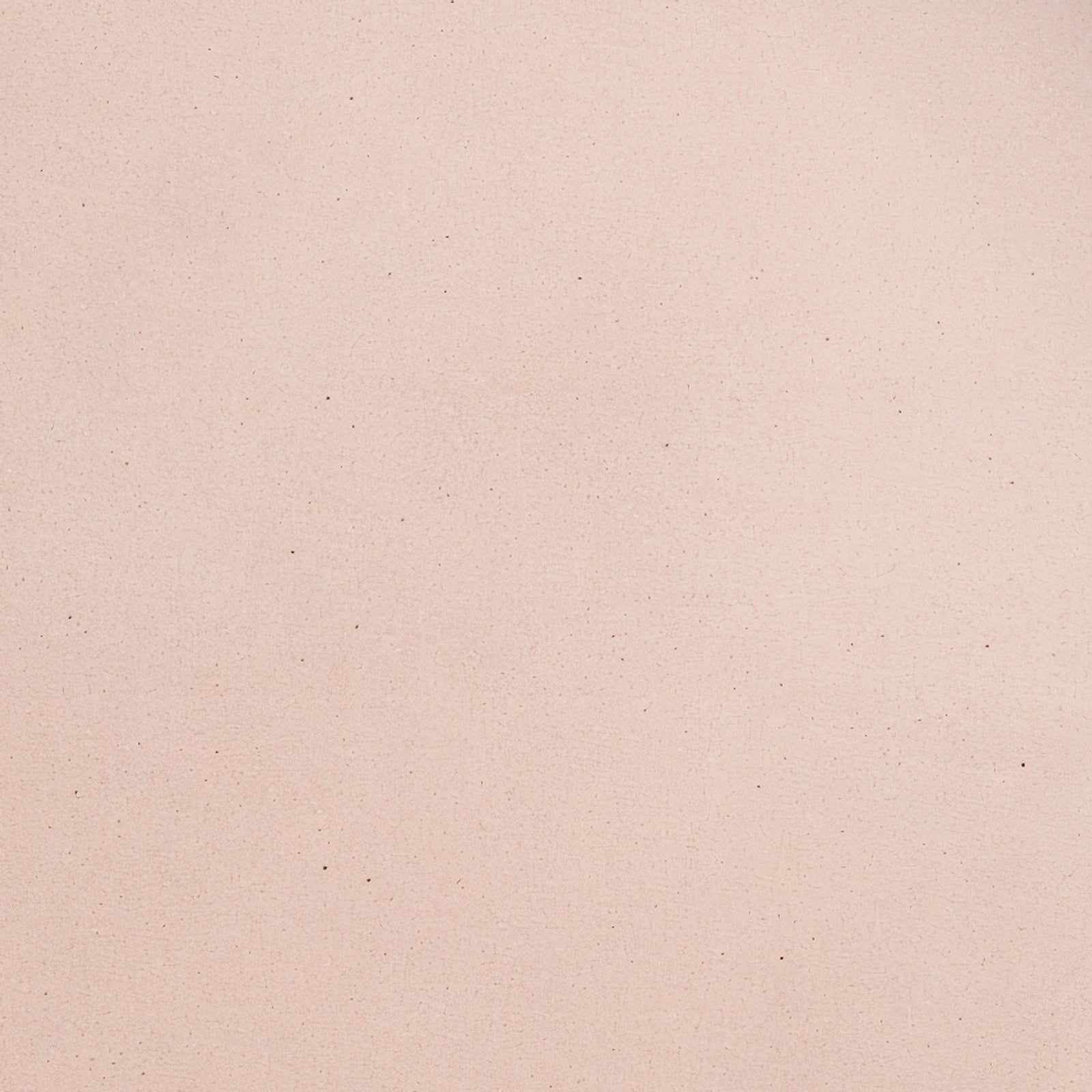 Remoxila Pale Pink Plate — macro close-up of the glaze surface at the plate's centre