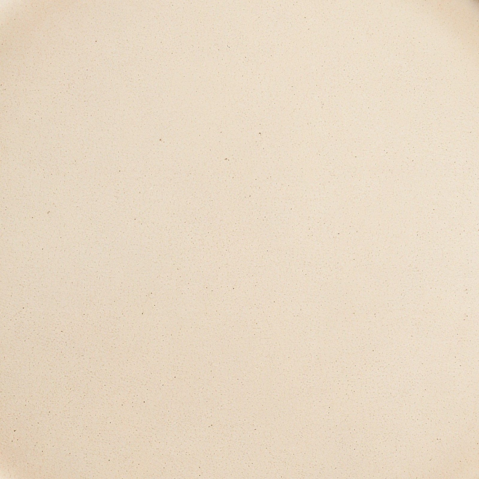 Remoxila Soft Beige Plate — macro detail of glaze surface at center