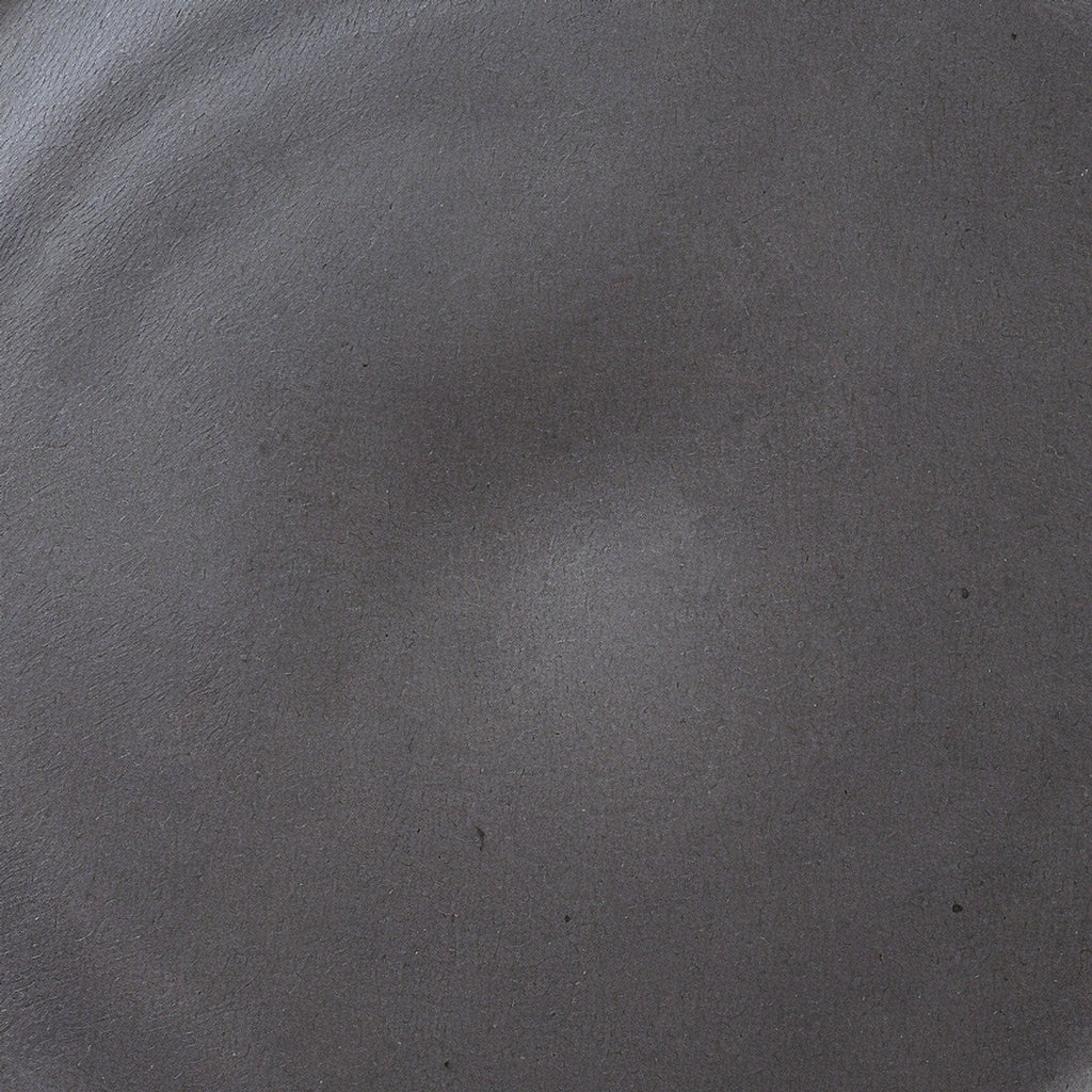 Remoxila Charcoal Black Stoneware Plate — macro close-up of the glaze surface texture