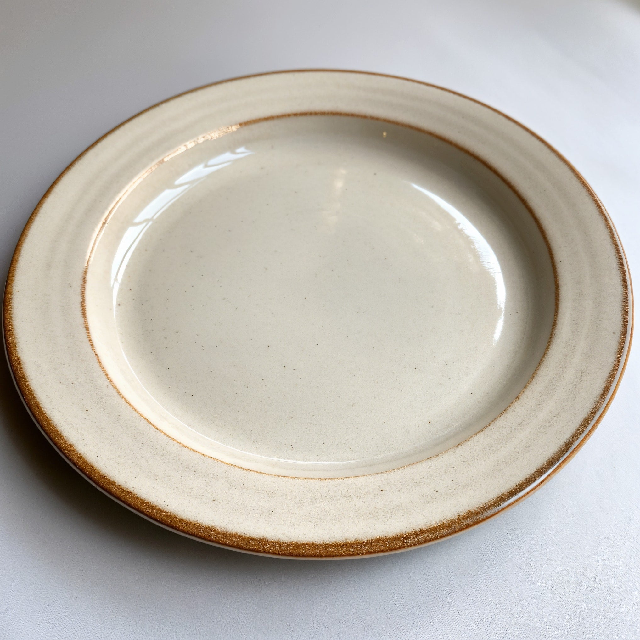 Remoxila Pearl White Plate — three-quarter angled view showing full top face and raised rim