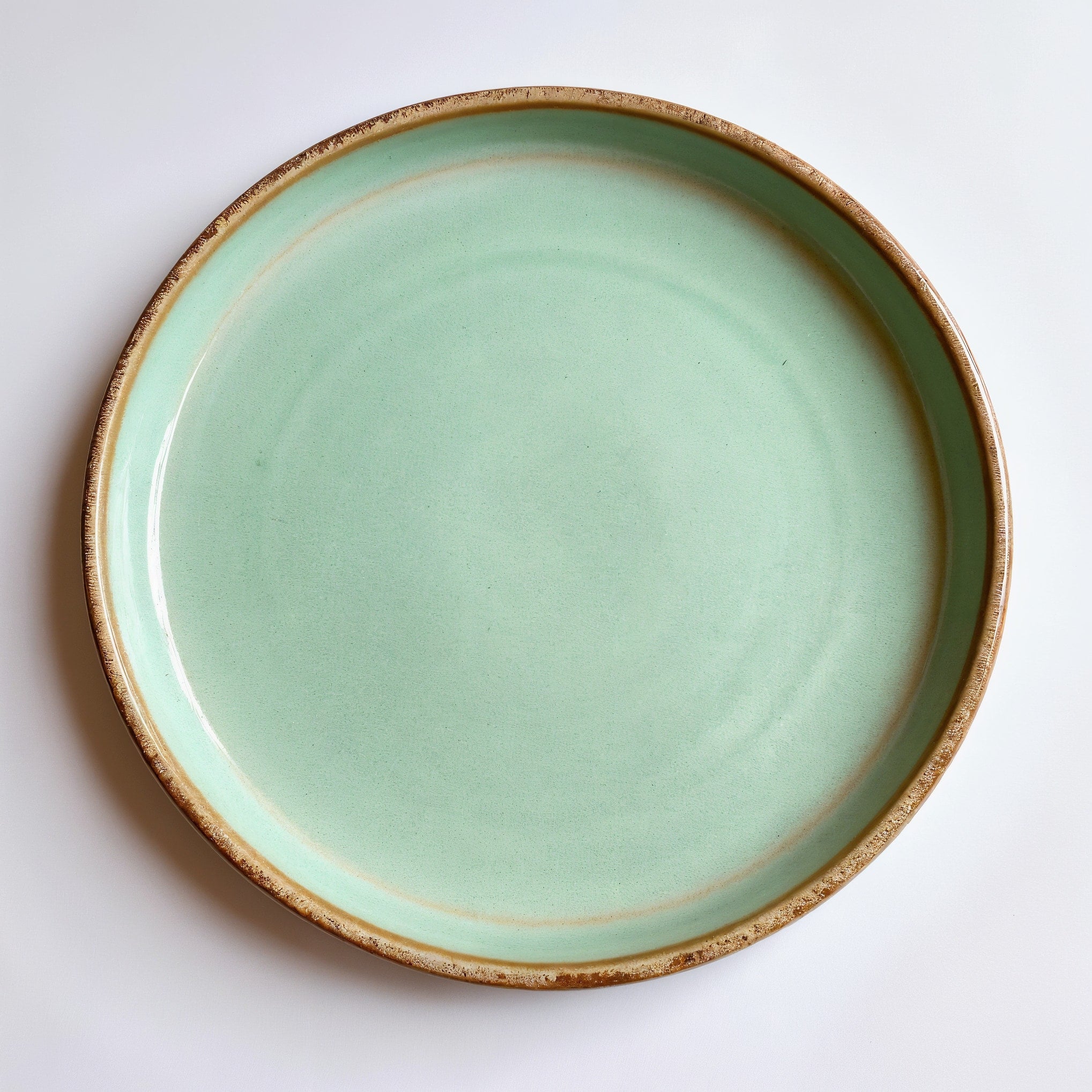 Remoxila Soft Mint Plate — top-down view showing the plate as a perfect circle