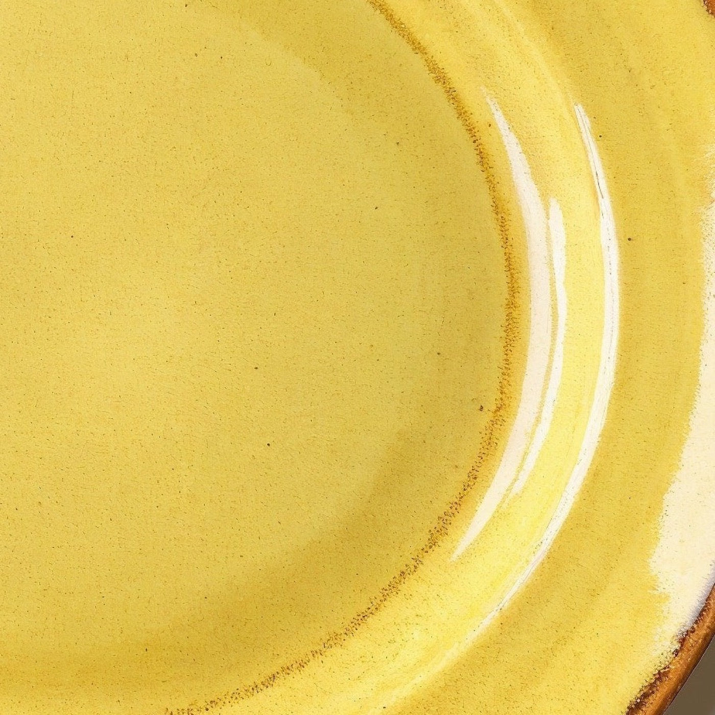 Remoxila Golden Yellow Stoneware Plate — extreme macro close-up of the glossy glaze surface and inner rim