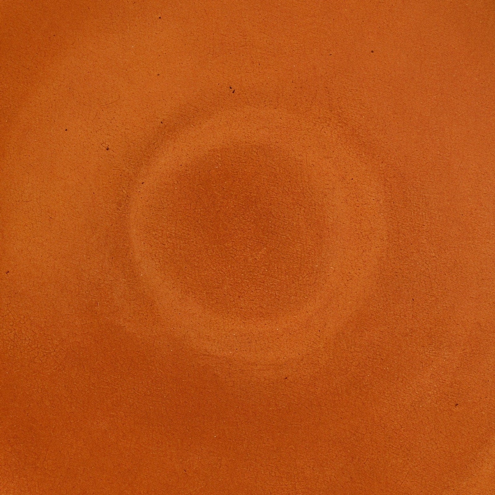 Remoxila Burnt Orange Plate — macro glaze detail, center texture visible