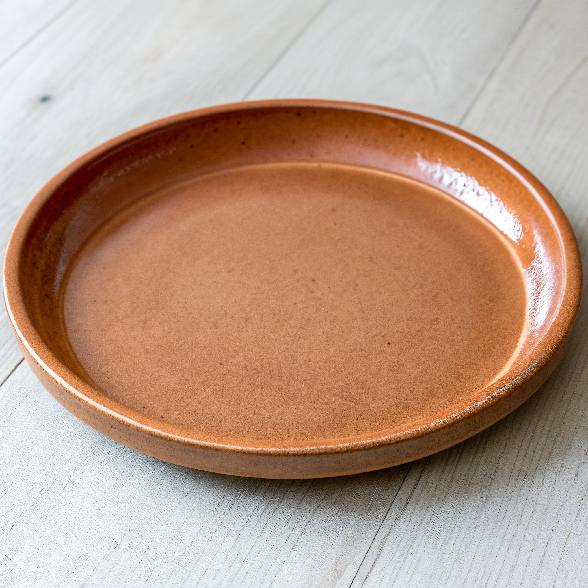 Remoxila Rustic Terracotta Plate — three-quarter angled view showing full top face and rim