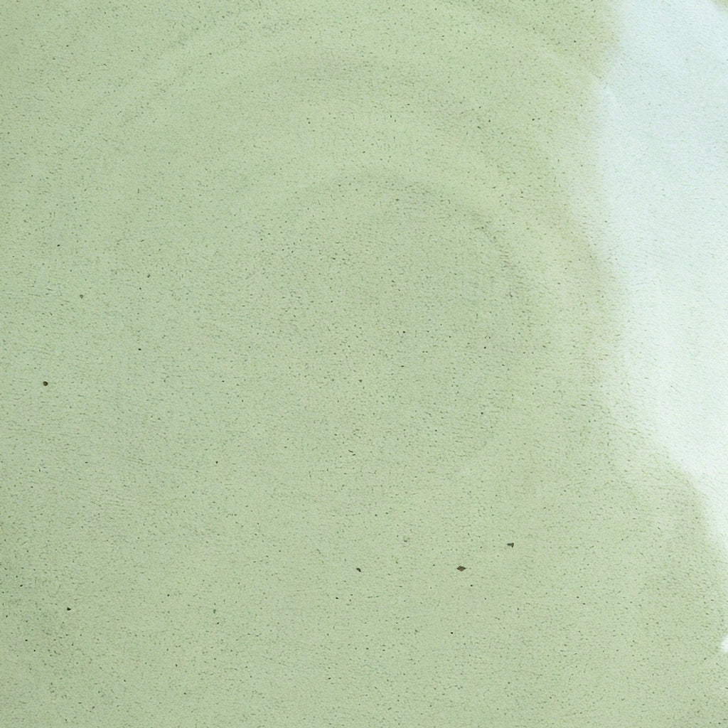 Remoxila Pistachio Green Plate — macro detail of matte glaze texture