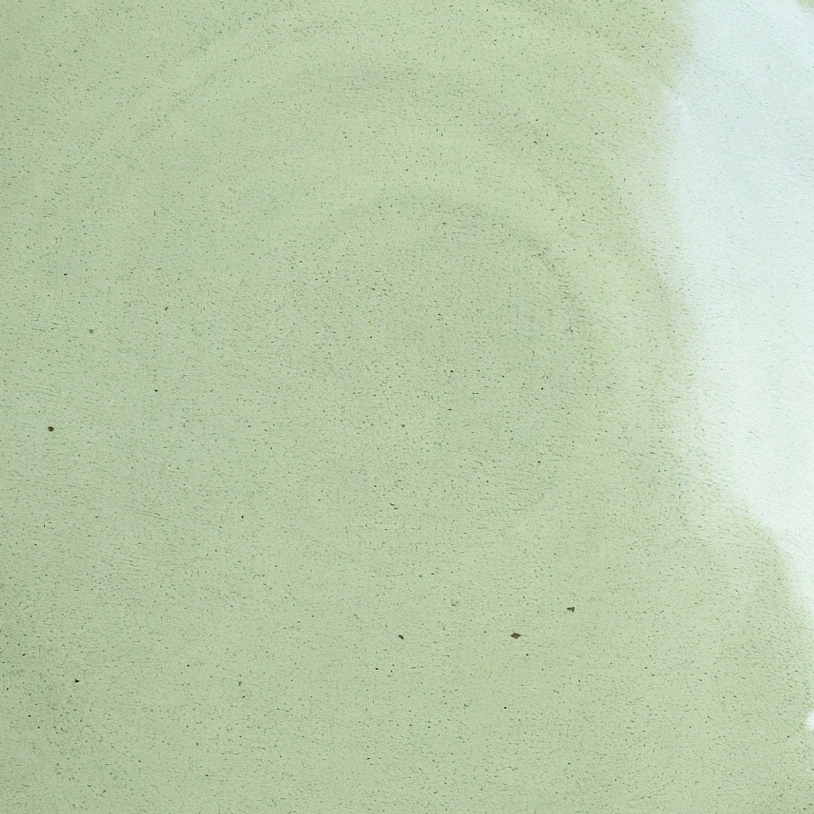 Remoxila Pistachio Green Plate — macro detail of matte glaze texture