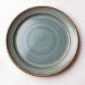 Remoxila Cool Grey Plate — strict top-down view showing circular top face