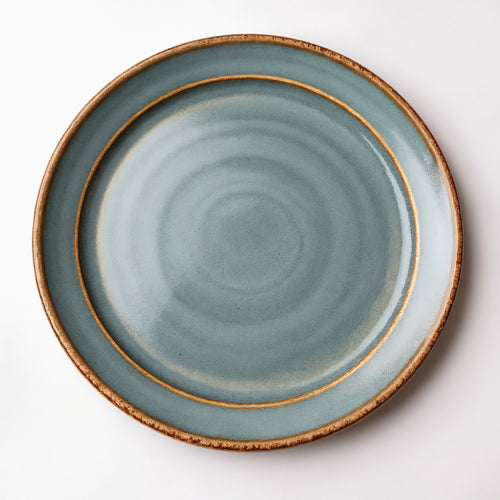 Remoxila Cool Grey Plate — strict top-down view showing circular top face