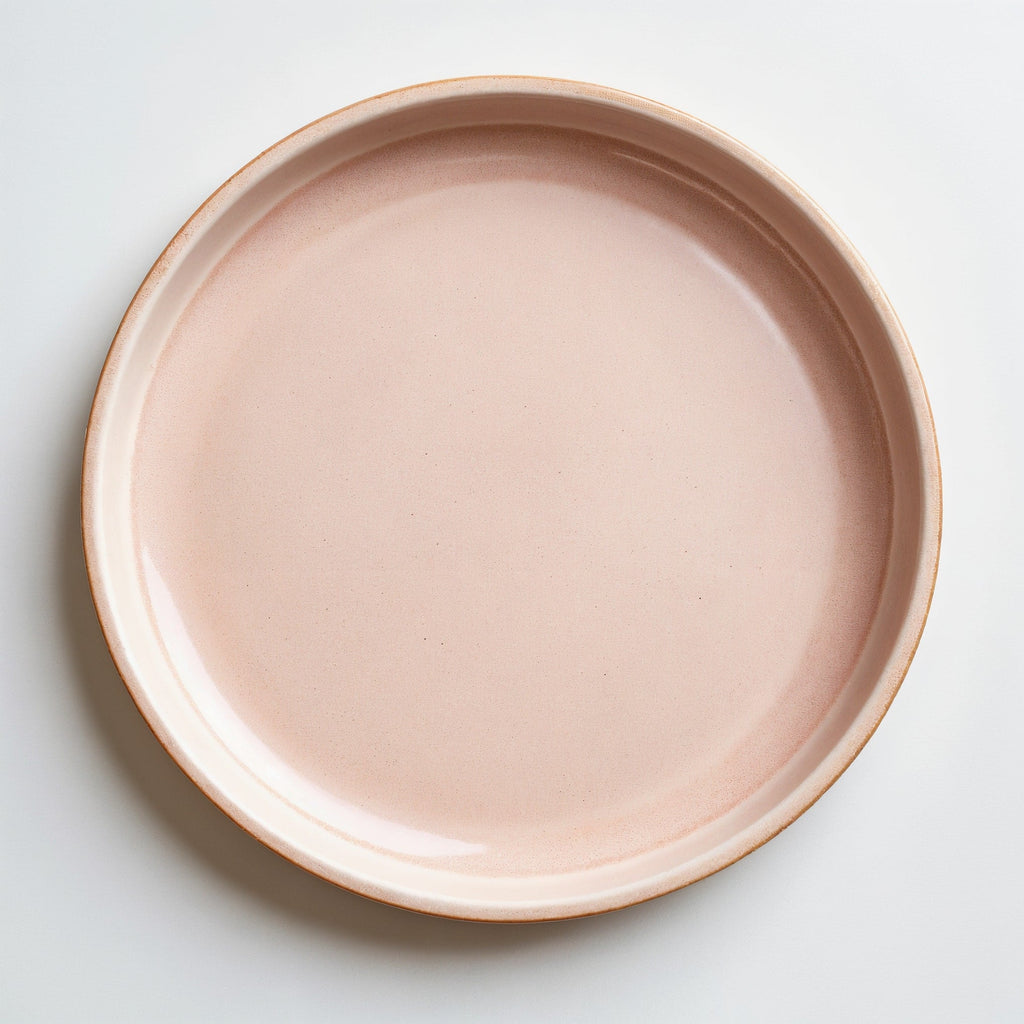 Remoxila Pale Pink Plate — strict top-down view of the plate as a perfect circle