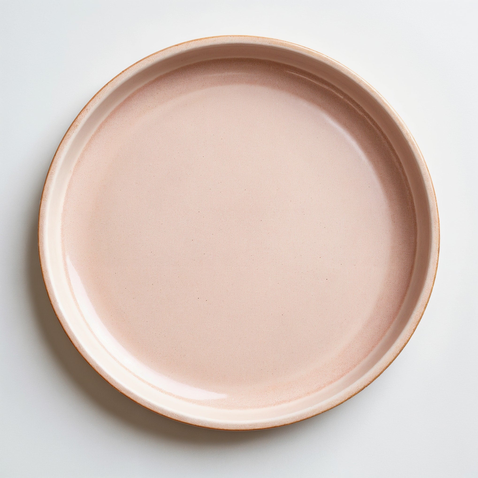 Remoxila Pale Pink Plate — strict top-down view of the plate as a perfect circle