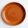 Remoxila Burnt Orange Plate — top-down view, circular face visible