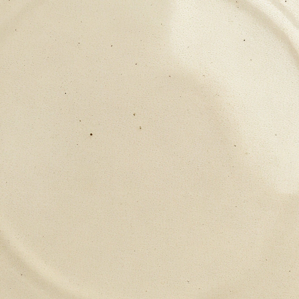 Remoxila Ivory Cream Plate — Macro detail of glaze surface texture