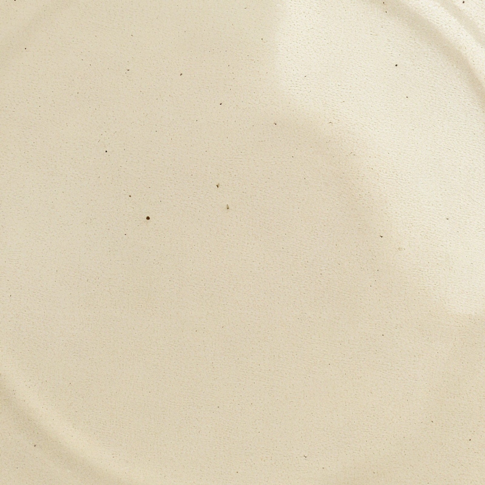 Remoxila Ivory Cream Plate — Macro detail of glaze surface texture