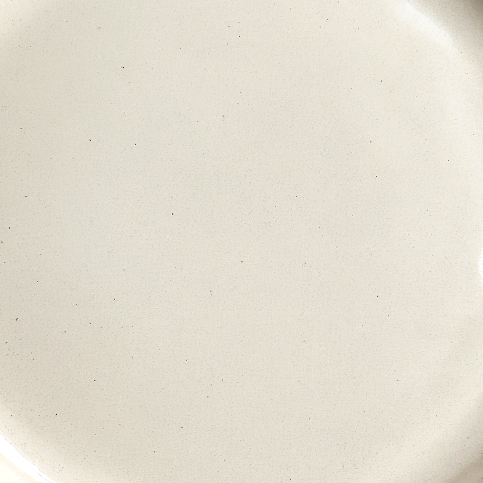 Remoxila Pearl White Plate — macro close-up of the glaze surface texture at the centre