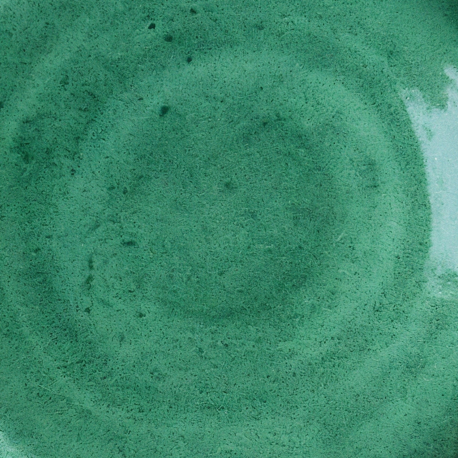 Remoxila Emerald Green Plate — Macro detail of glaze surface texture